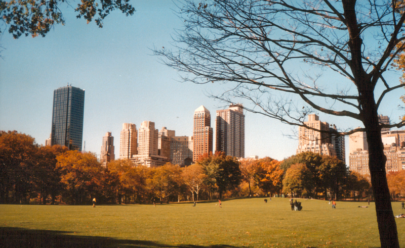 Viced parcial de le Central Park
