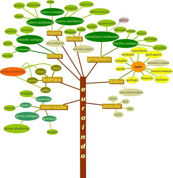 arbol euroindo